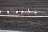 TANZANIA - Lake Natron - 057